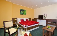 apartman family 190x121 Hotel Viktor***