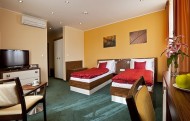 biznis 190x121 Hotel Viktor***